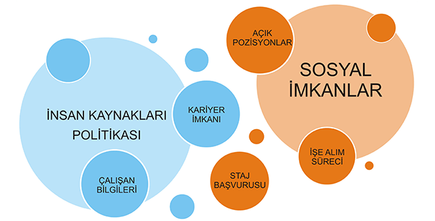 insan kaynakları